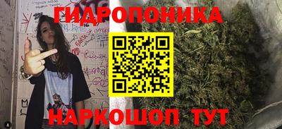 спиды Краснознаменск