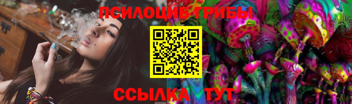 Псилоцибиновые грибы GOLDEN TEACHER Касимов